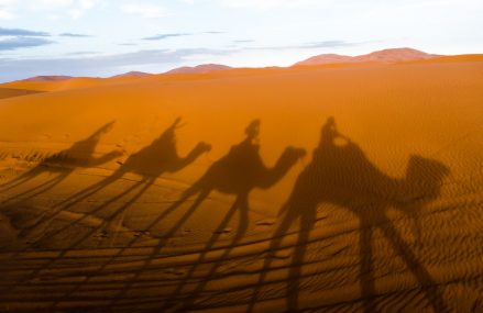 Important Facts About Sahara Desert – 10 Unknown Facts